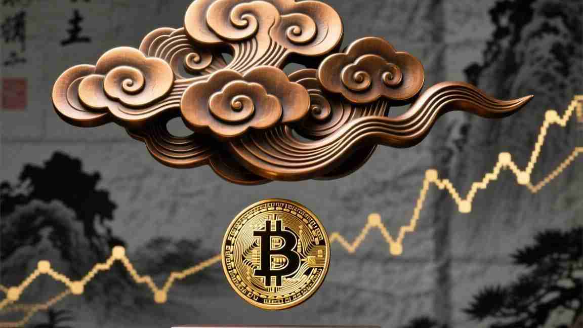 币交易所AEX怎么样,深度解析其优势与不足